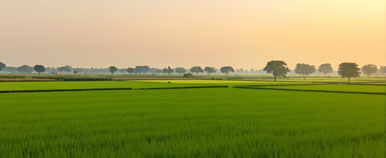 Punjab